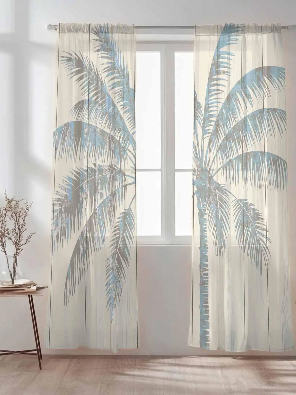podocarpus by window sheer curtain