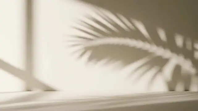cardboard palm shadow on wall