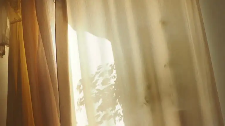pteris cretica windowsill sheer curtain