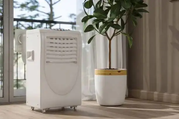 chinese brake fern cabinet fan humidifier