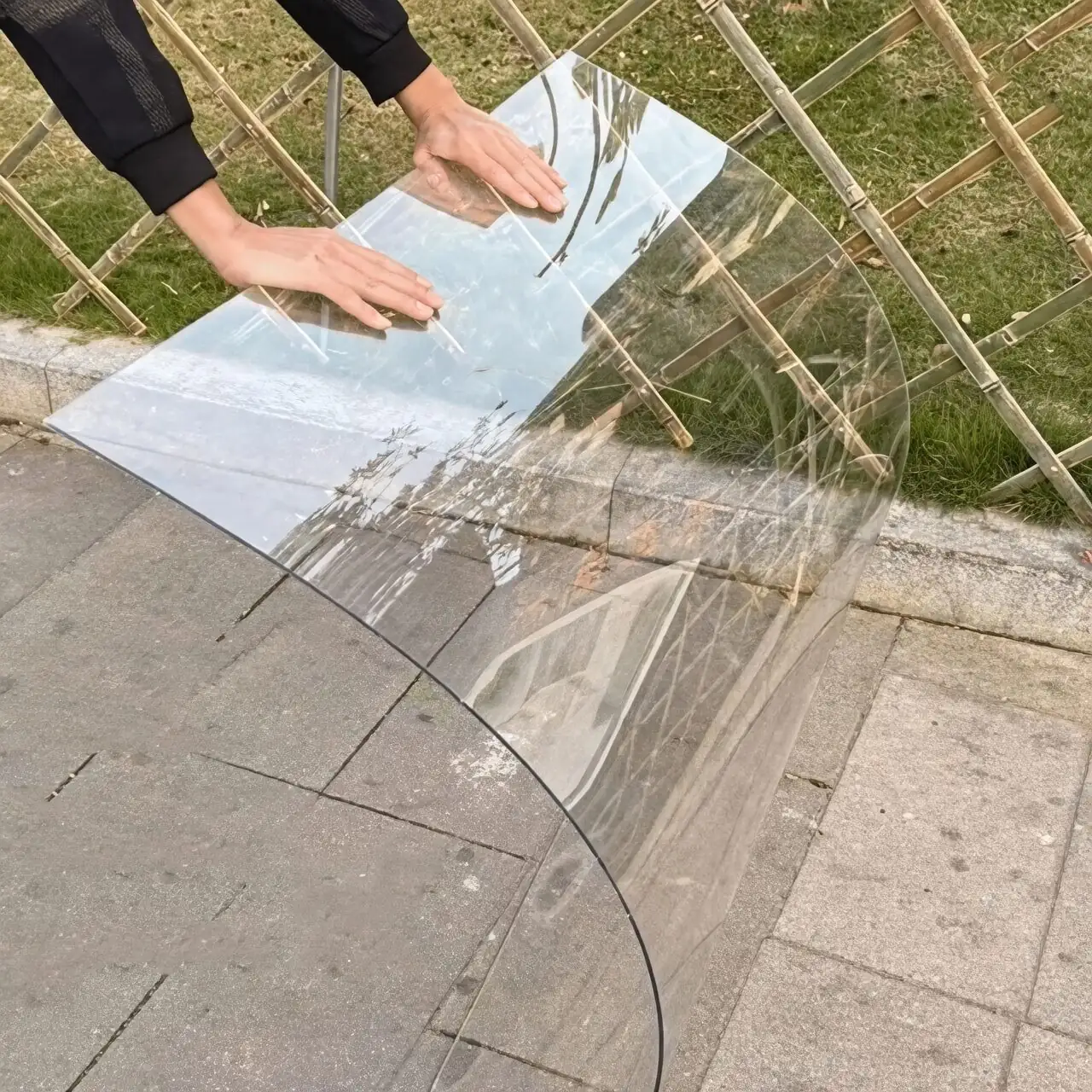 bear's paw under clear polycarbonate roof