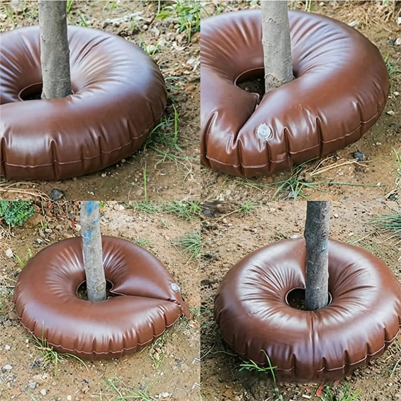 Chinese rose drip irrigation ring