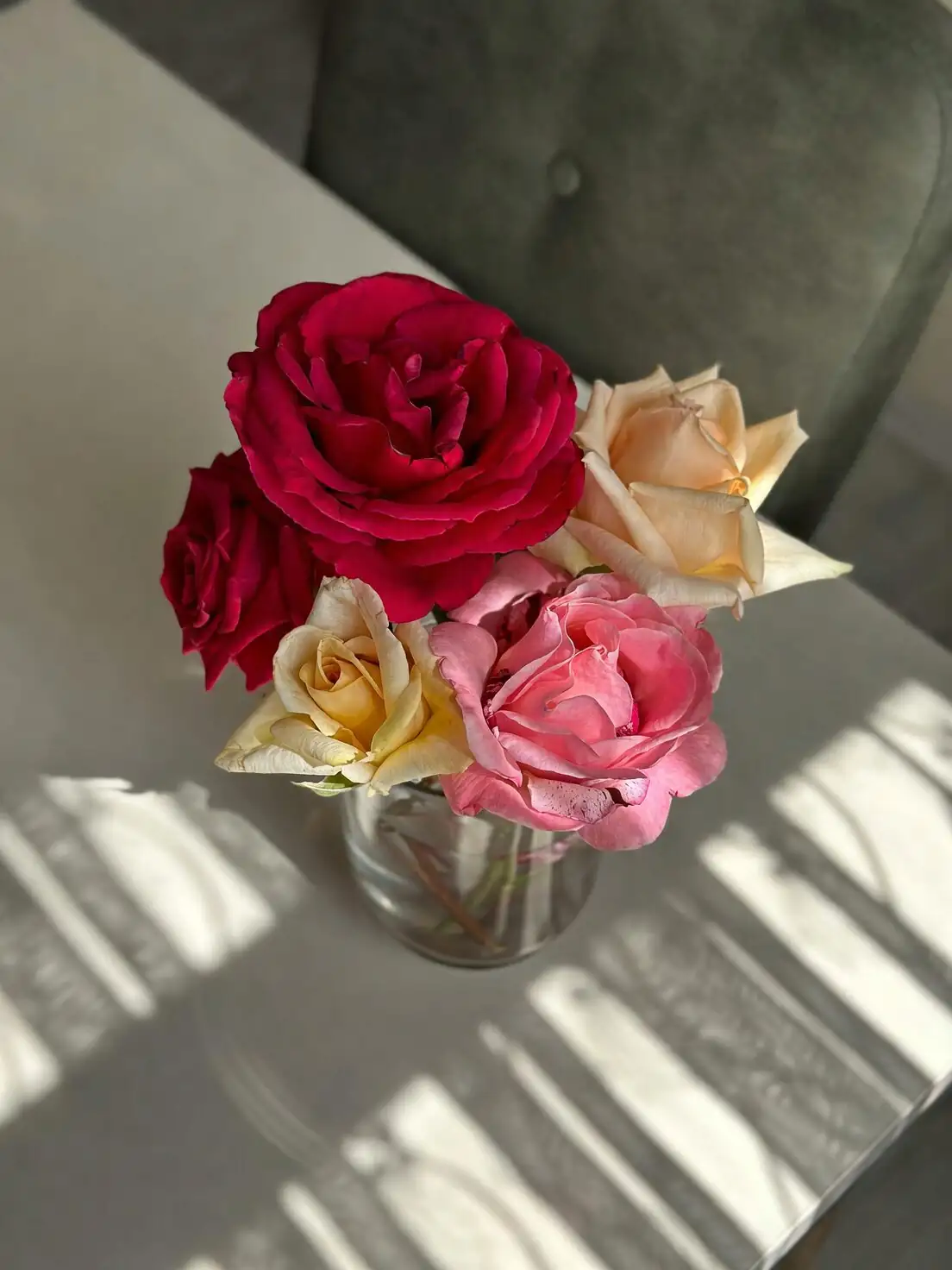 Snip at the Reflexed Sepal: Florist-Level Harvesting and Vase-Life Tricks