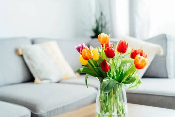 Chinese rose vase bright indirect light