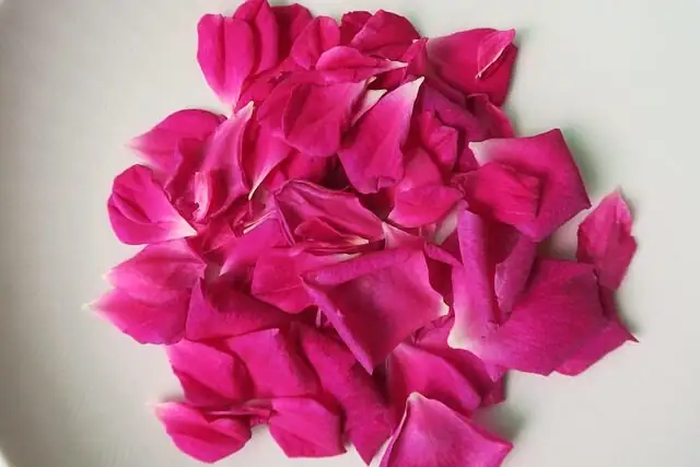 Chinese rose containers wrapped burlap