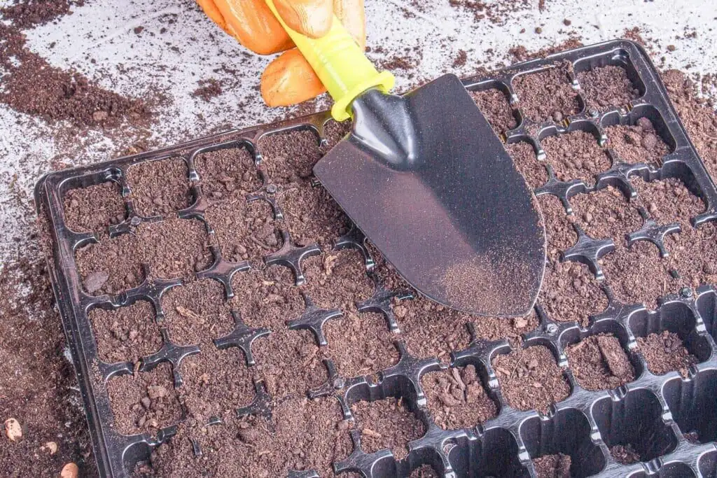 tuberous begonia seed sowing tray