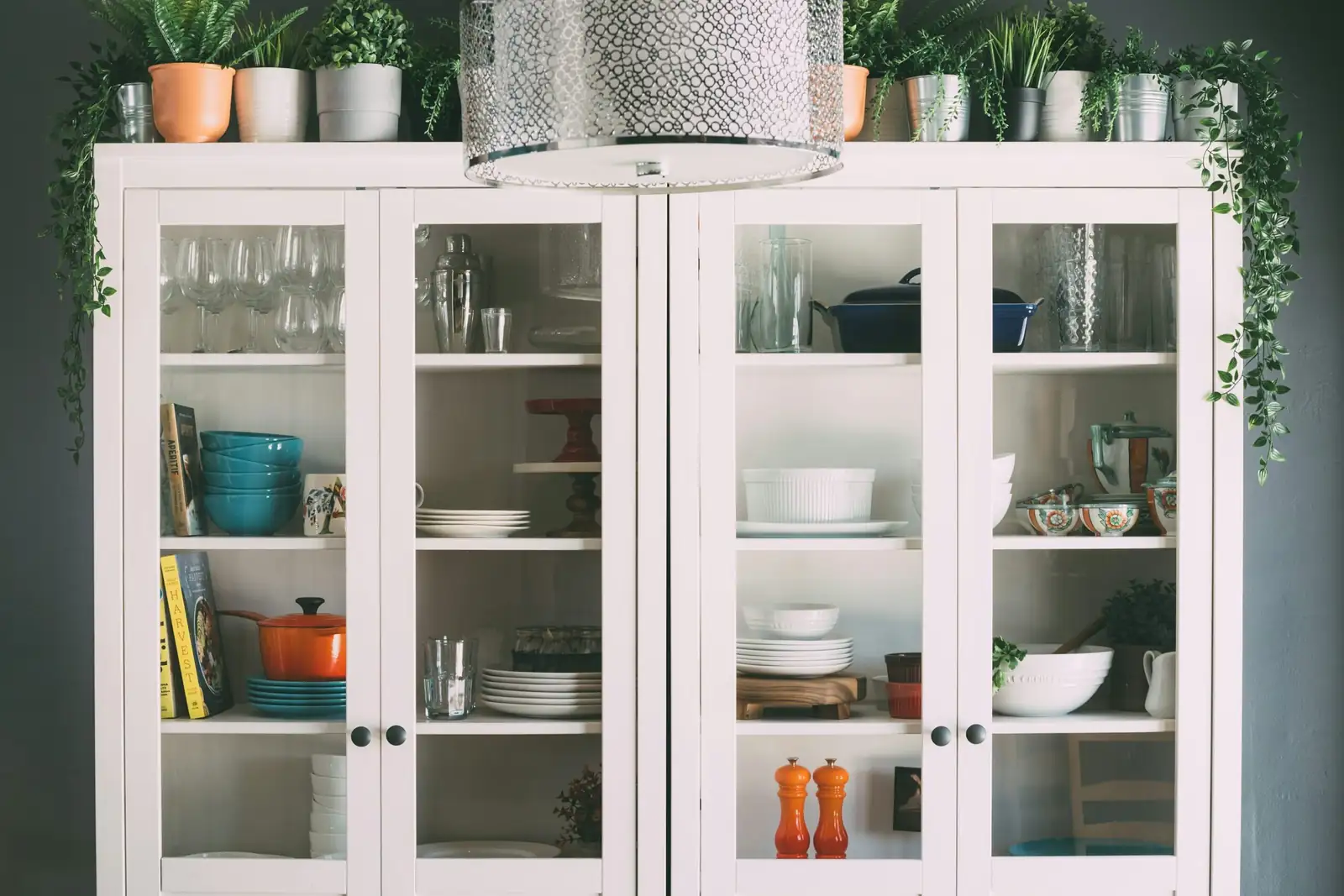 tuberous begonia glass display cabinet