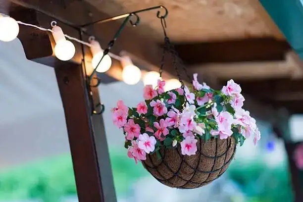 verbena watering hanging basket can