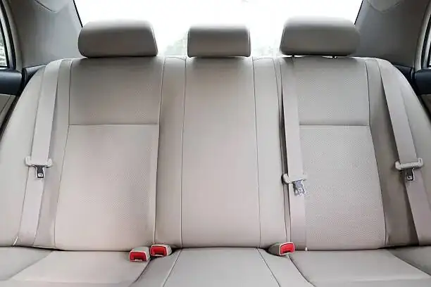 verbena box in car backseat