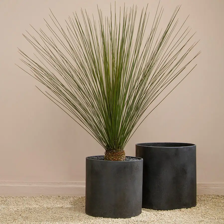 cast iron plant matte black cylinder pot