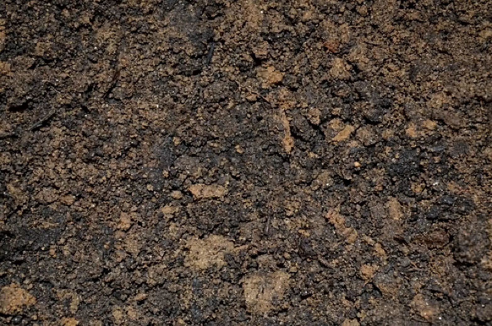 cast-iron plant potting soil mix