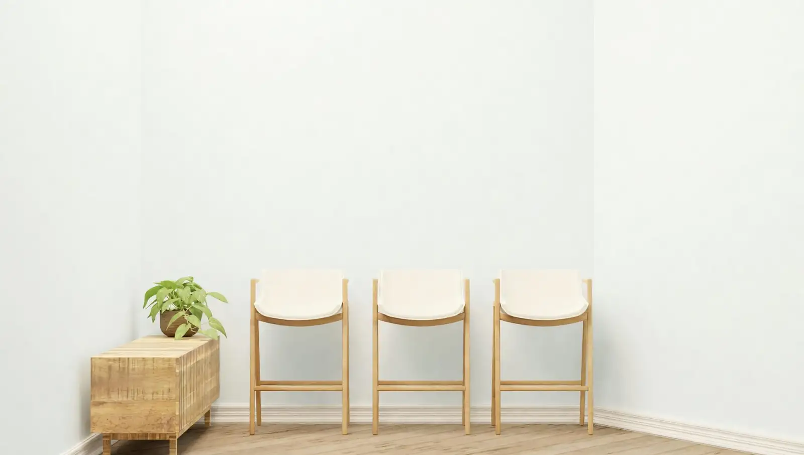 From Smoky Bar-Rooms to Minimalist Homes: The Wild Journey of Aspidistra elatior