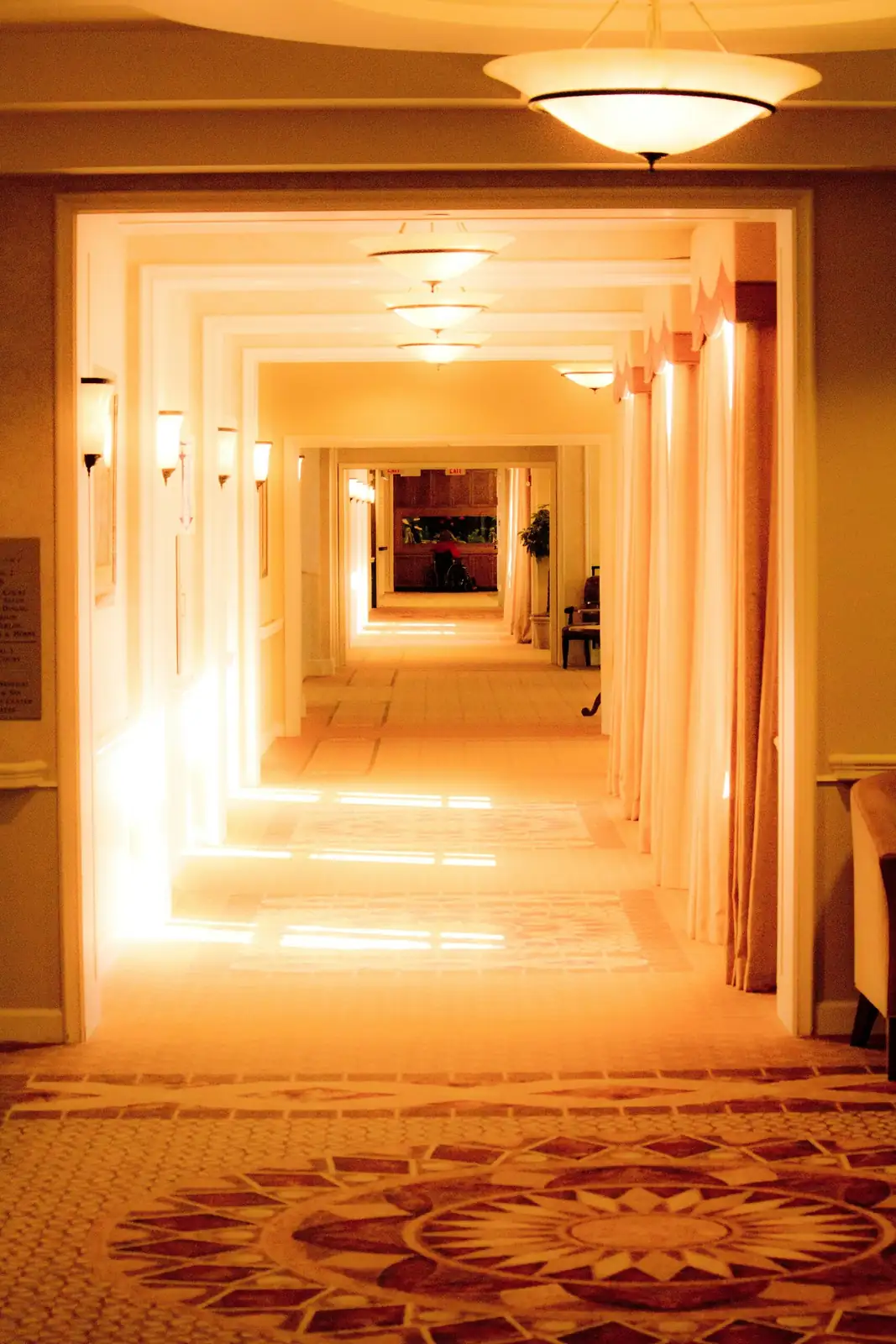 Shadow Styling: 9 Designer Tricks to Make Dim Corners Glow with Cast-Iron Plant