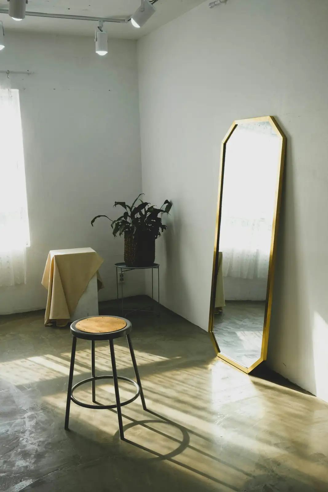 cast iron plant console mirror hallway