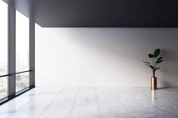 The Ultimate Office Plant? How Aspidistra Thrives in Work Nooks Too Dark for Anything Else