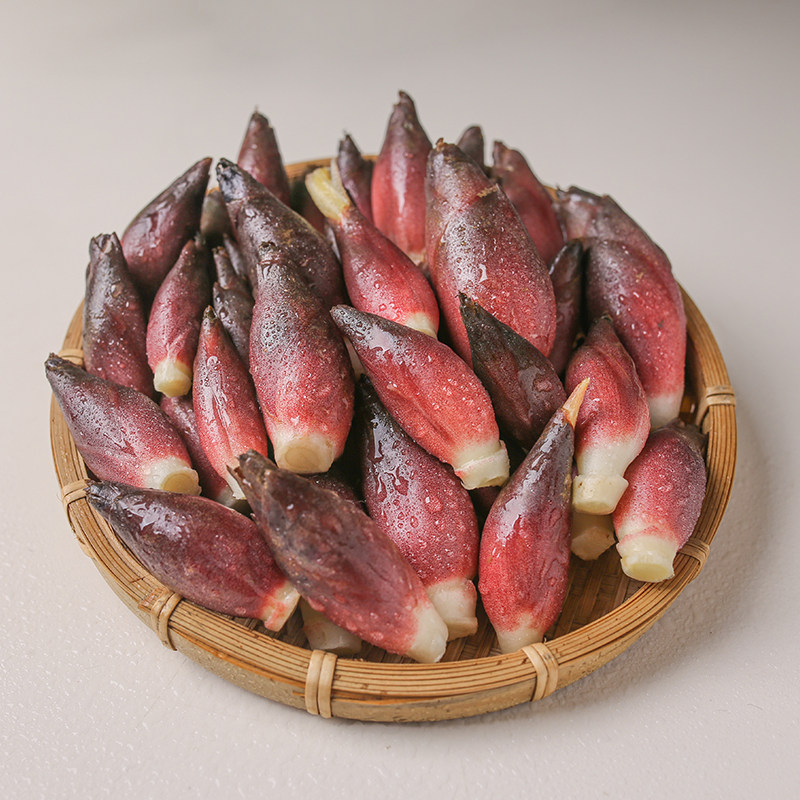 Myoga Ginger image 3