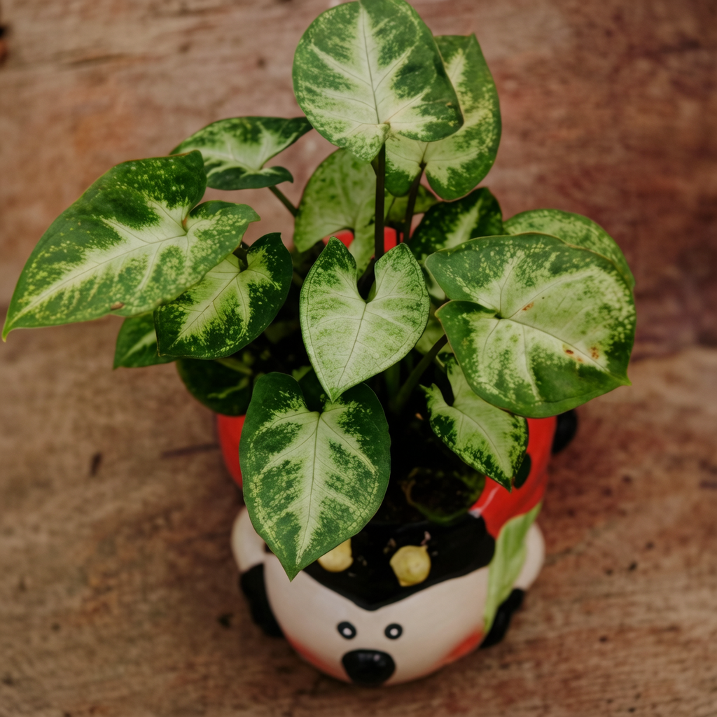 Arrowhead Vine ਚਿੱਤਰ 2