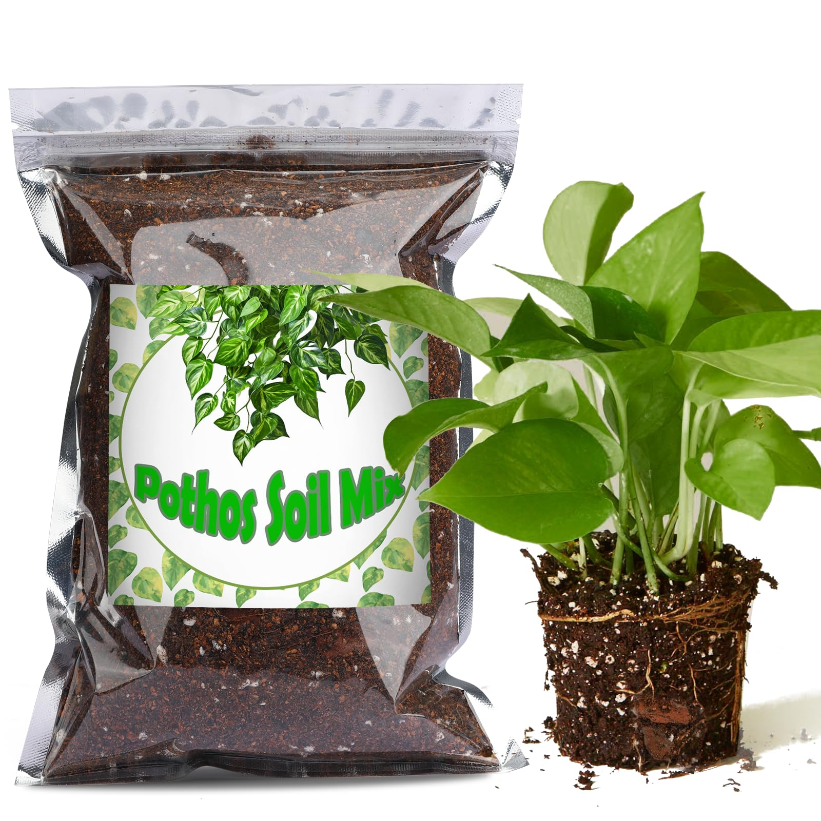 pothos soil mix