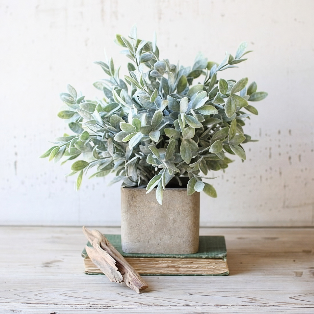 peaceful indoor plant decor