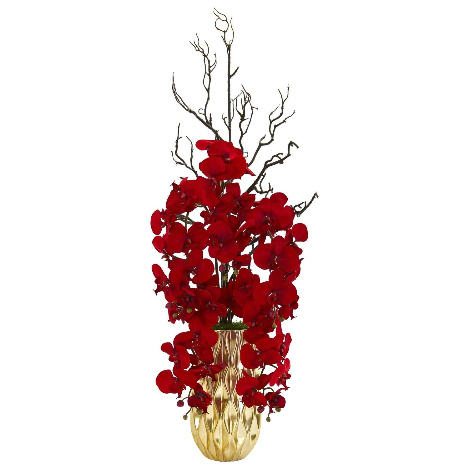 rode Phalaenopsis-orchidee schikking