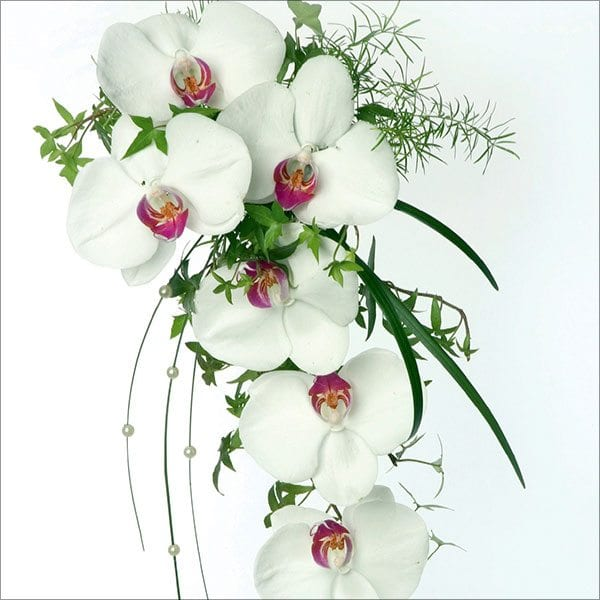 kontras na dekorasyon na may phalaenopsis orchid