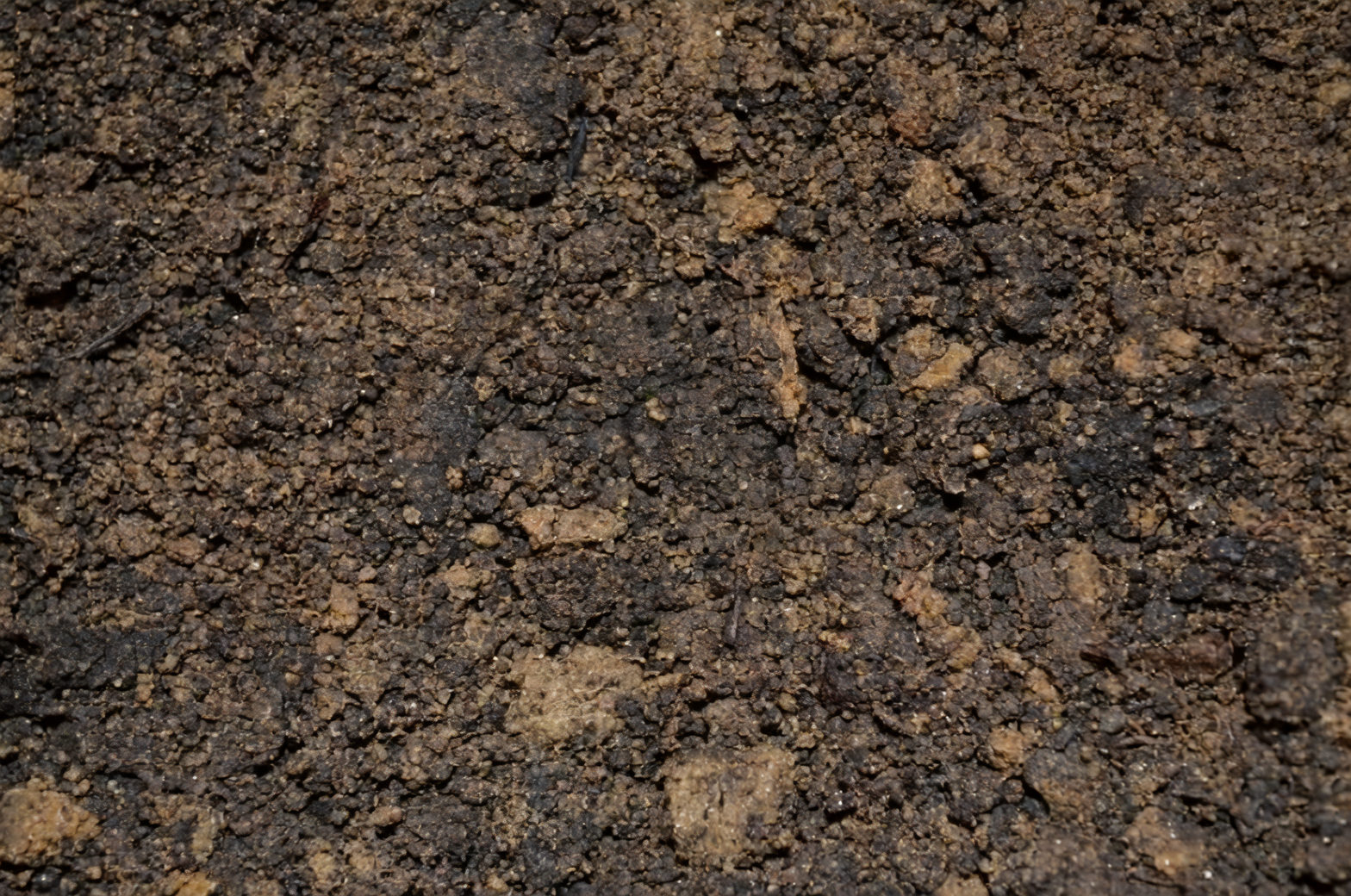 ವೀಪಿಂಗ್ ಫಿಗ್ ಪಾಟಿಂಗ್ ಸಾಯಿಲು ಮಿಶ್ರಣ