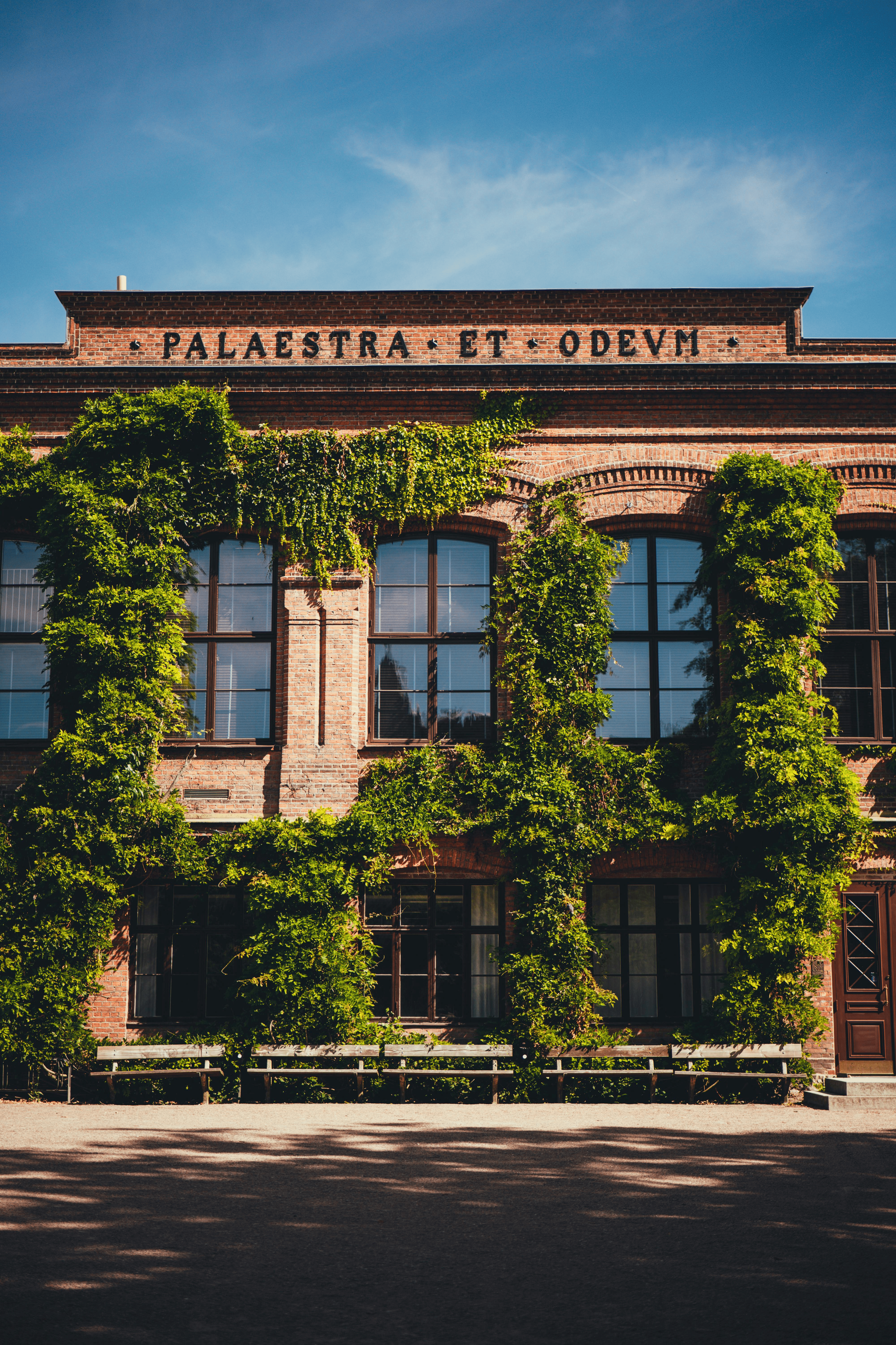 ivy-covered university building