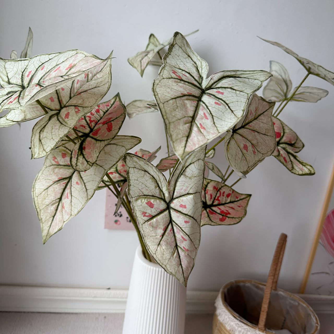 caladium in bathroom decor