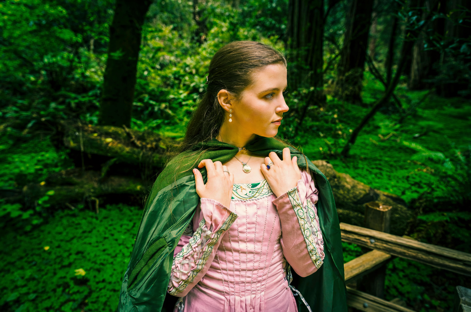 从哥伦比亚雨林到你的客厅：粉公主喜林芋的传奇旅程