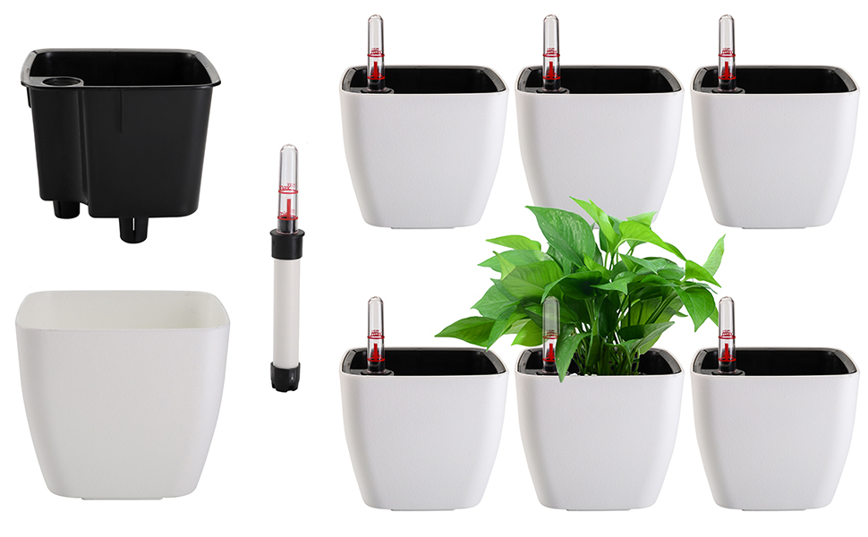 self-watering plant container
