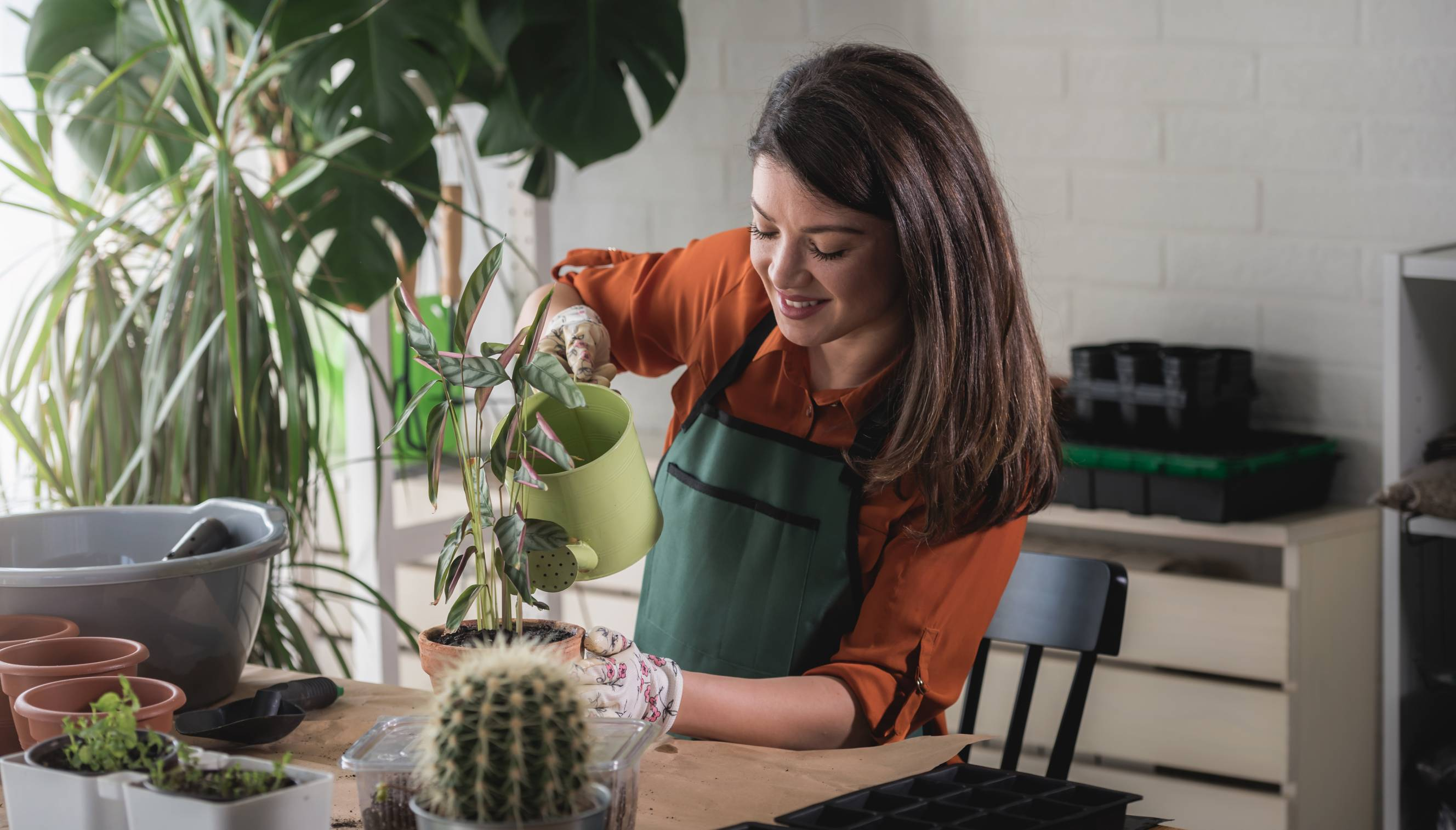 professional plant sitter with plants