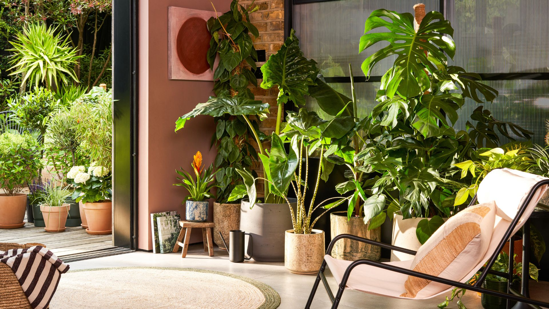 The Secret to Thriving Indoor Plants: Mastering Temperature and Humidity