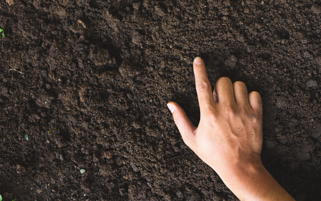 finger testing soil moisture