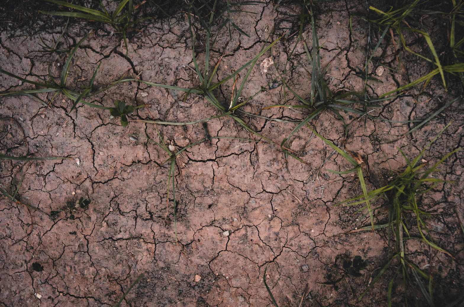 dry versus wet soil comparison