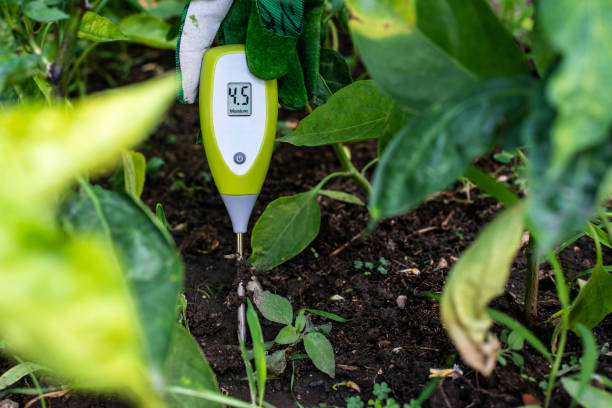 using soil moisture meter in garden