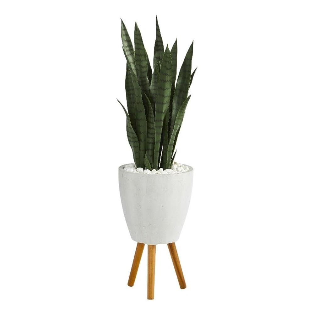 snake plant in bedroom decor