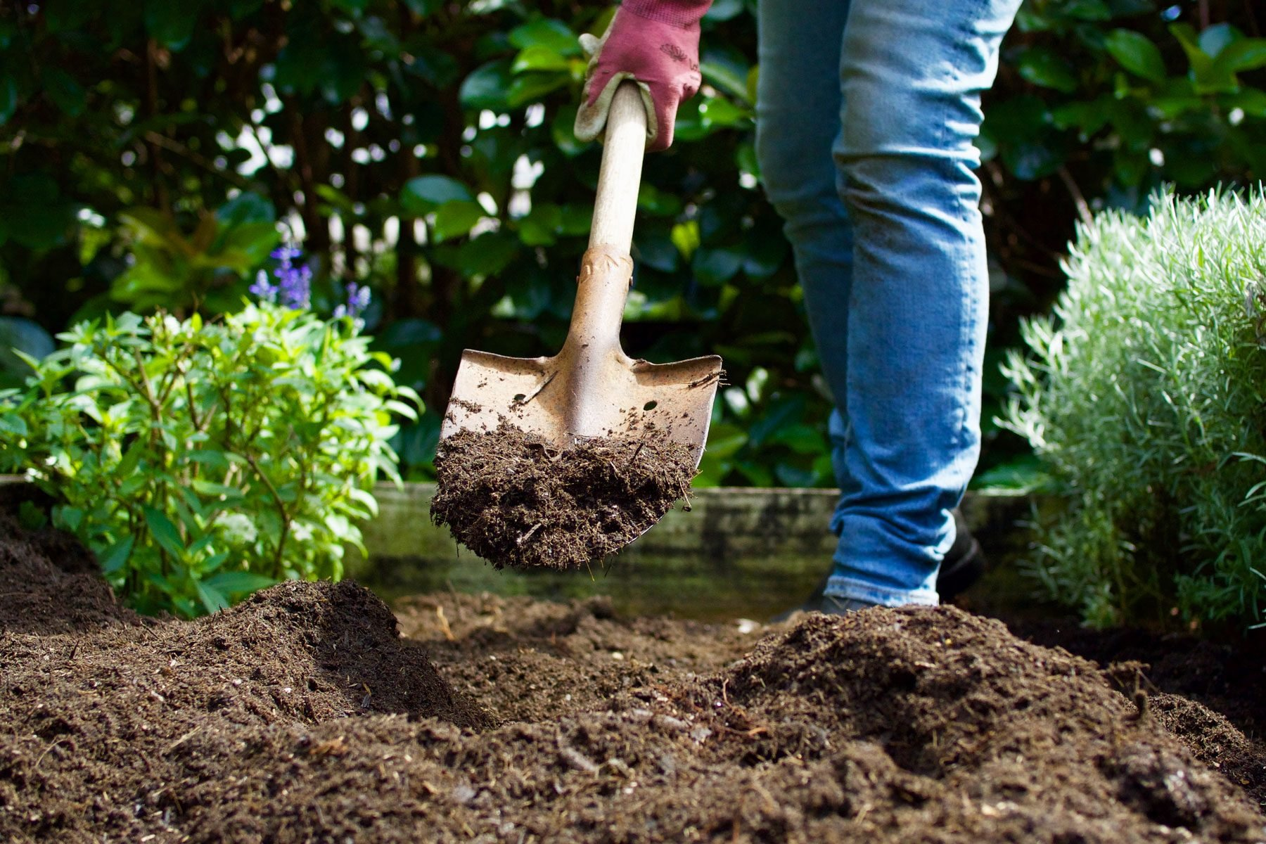 various soil types with plants