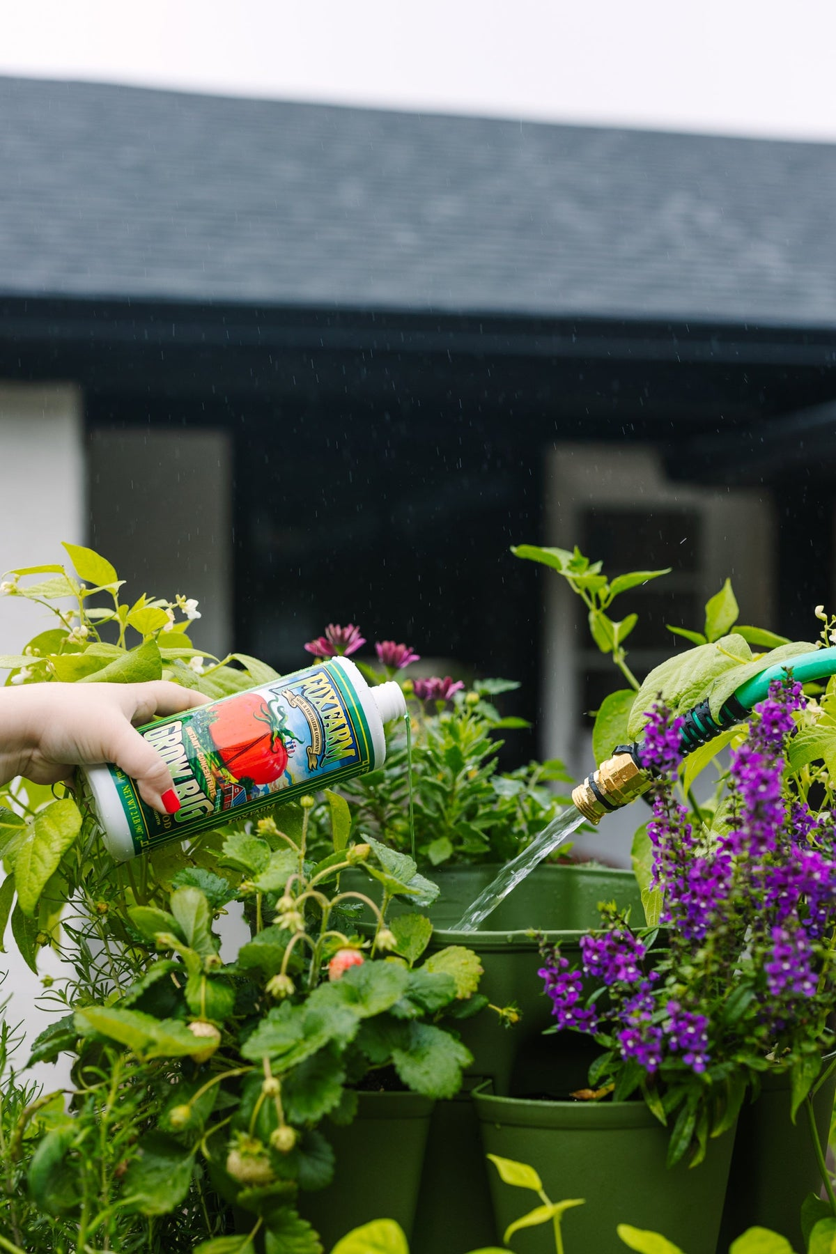 lush plant growth with fertilizer