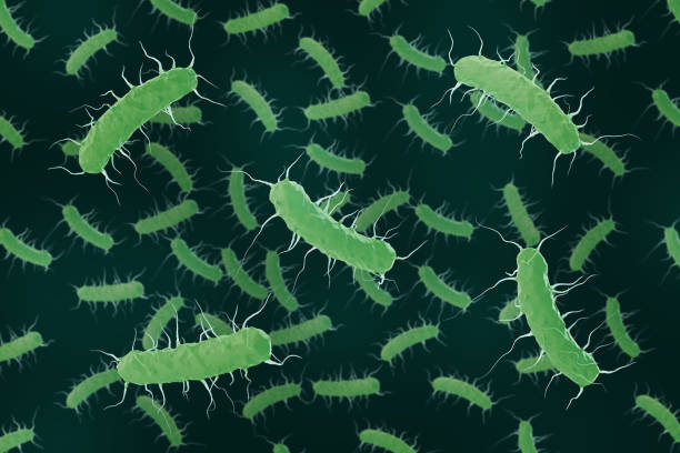 nematodes in soil illustration