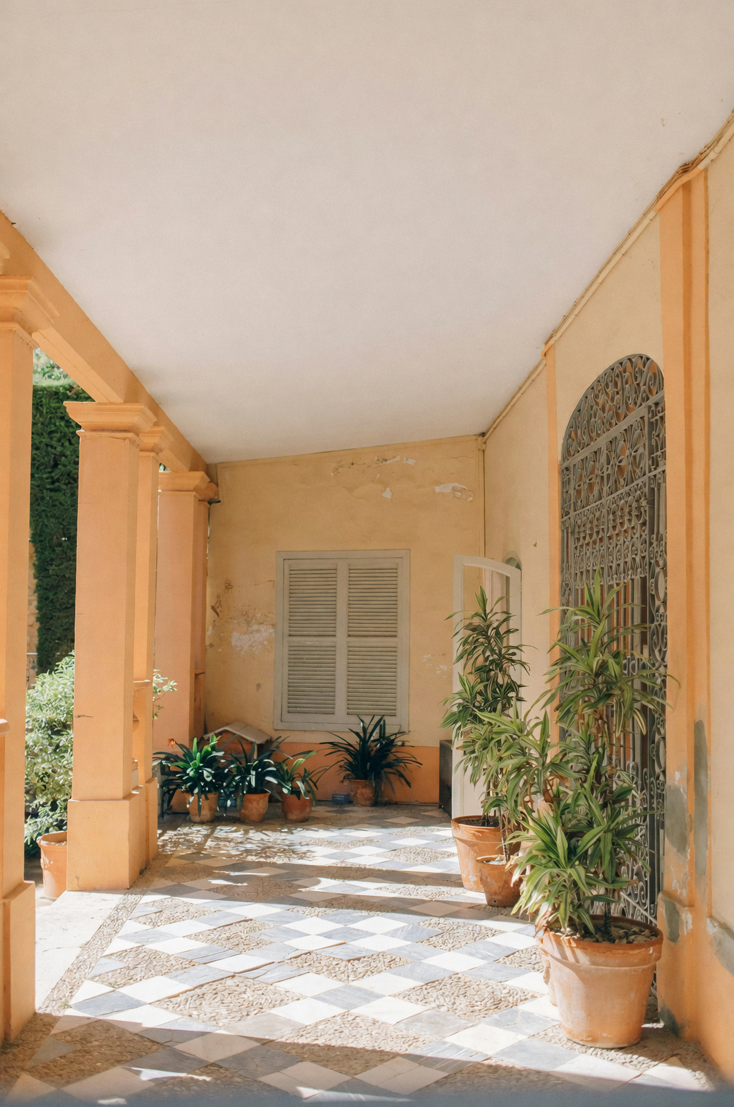 Balancing Act: Choosing the Right Planters for Your Balcony Garden