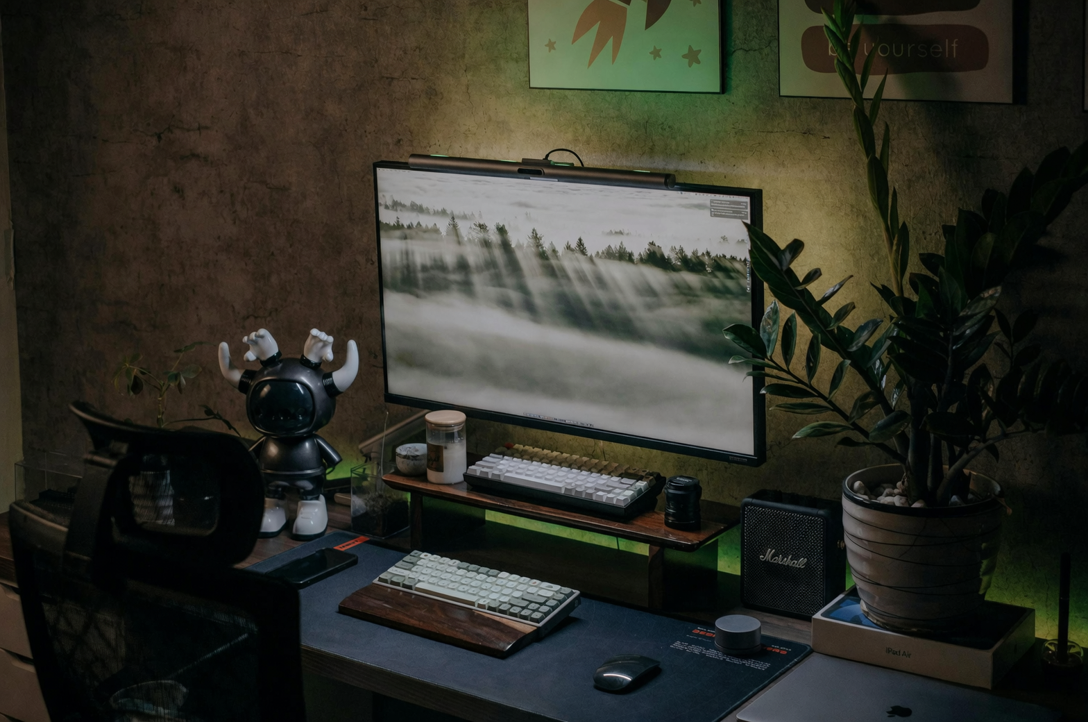 ZZ Plant on office desk