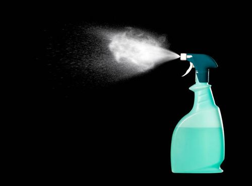 Choosing the Right Bug Busters: Your Guide to Safe Home Insecticides