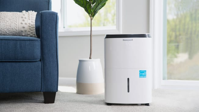 dehumidifier in living room