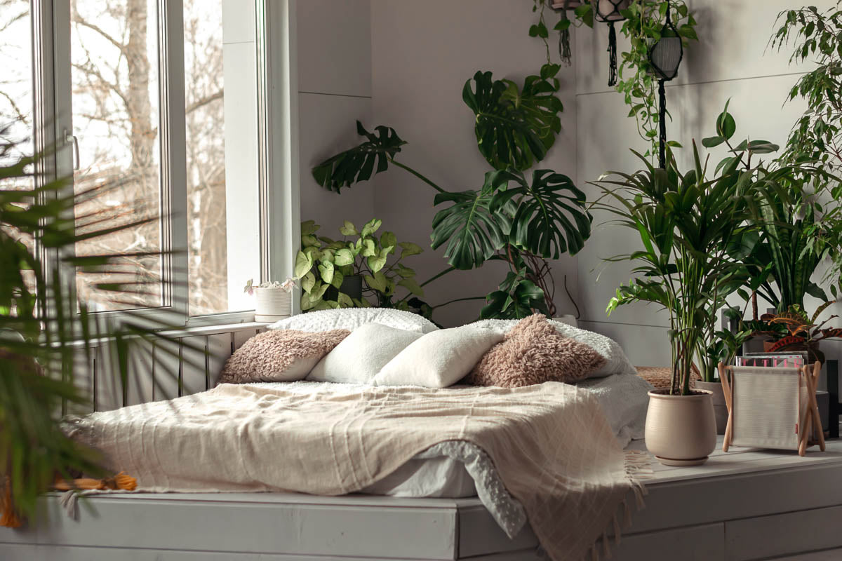 feng shui plant bedroom
