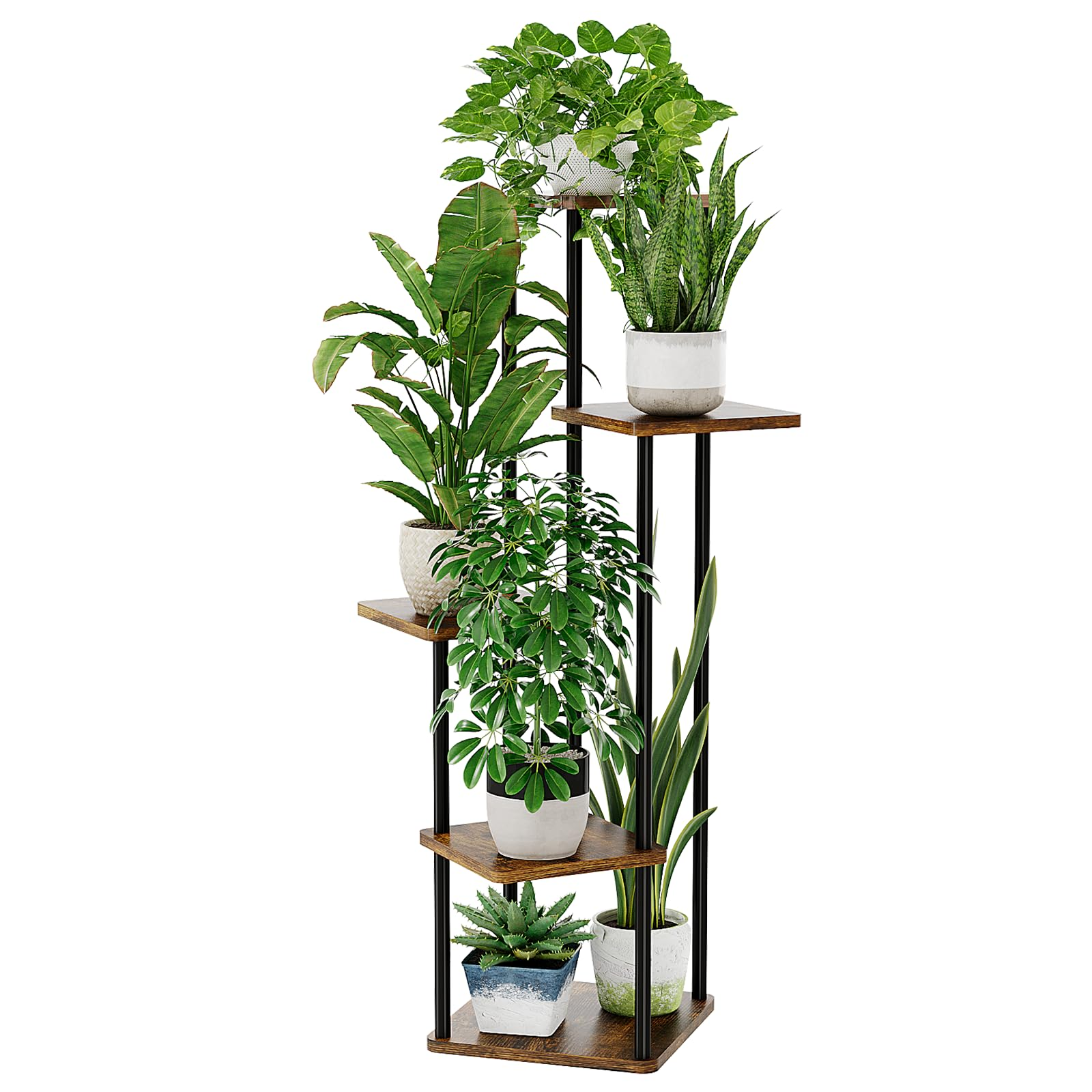 plant stands with various plants