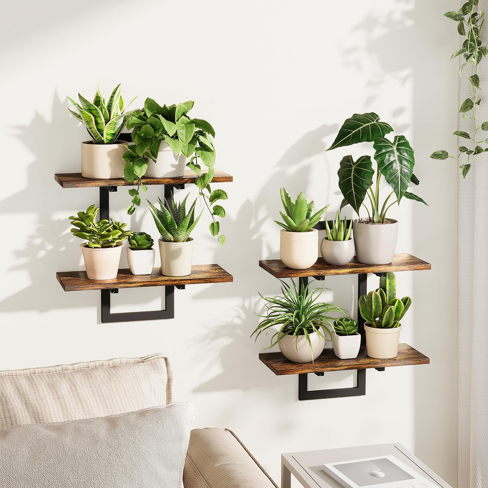 floating shelves with small potted plants