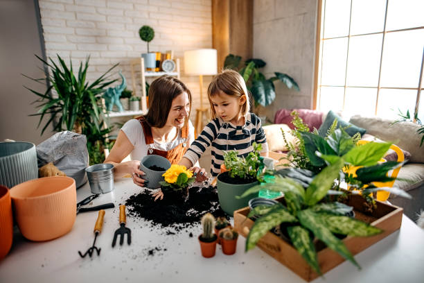 never never plant indoor