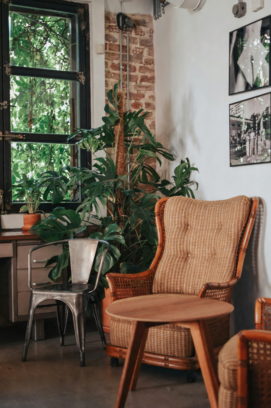 Brightening Up Your North-Facing Spaces: Light and Airflow Tips for Happy Houseplants