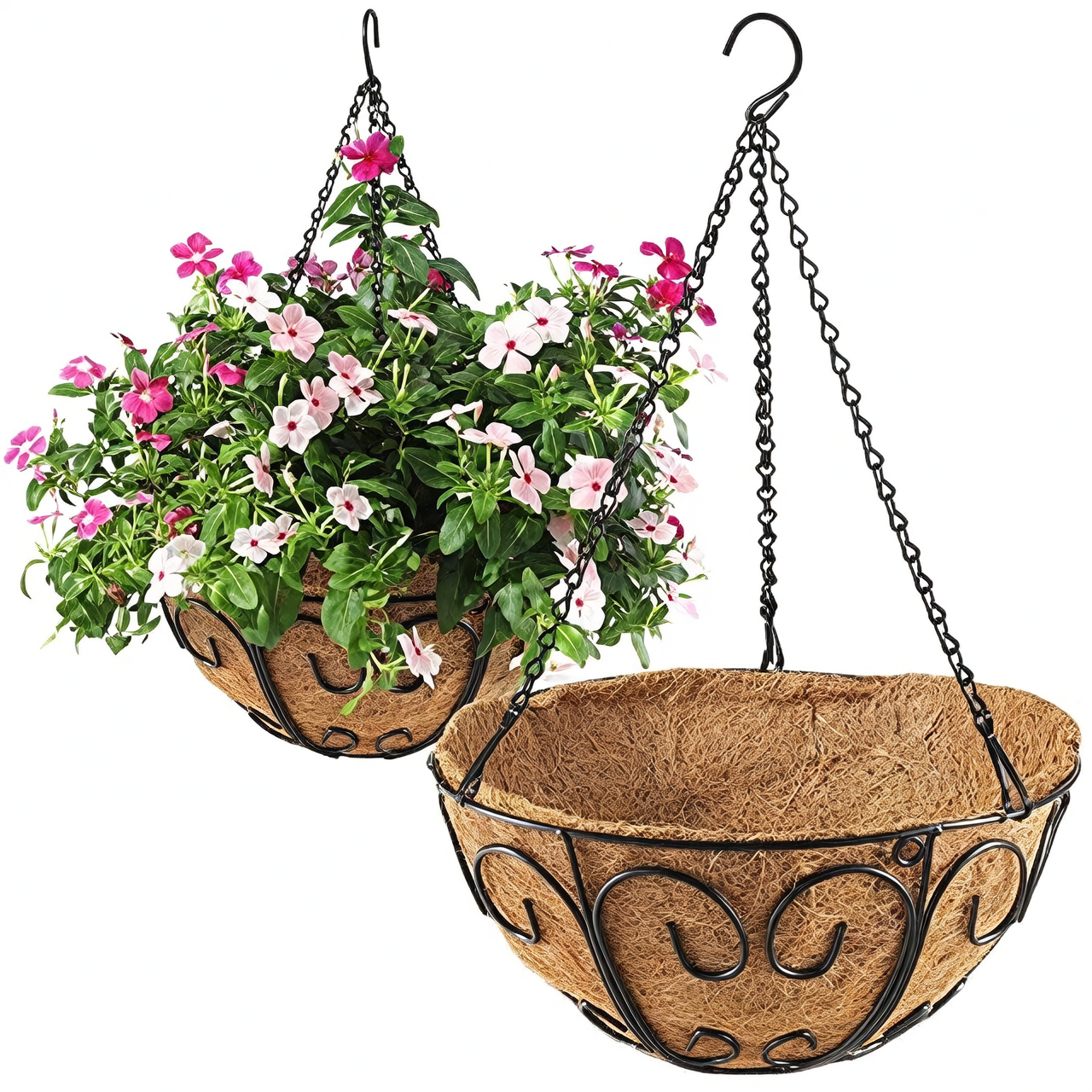 hanging plant basket indoor
