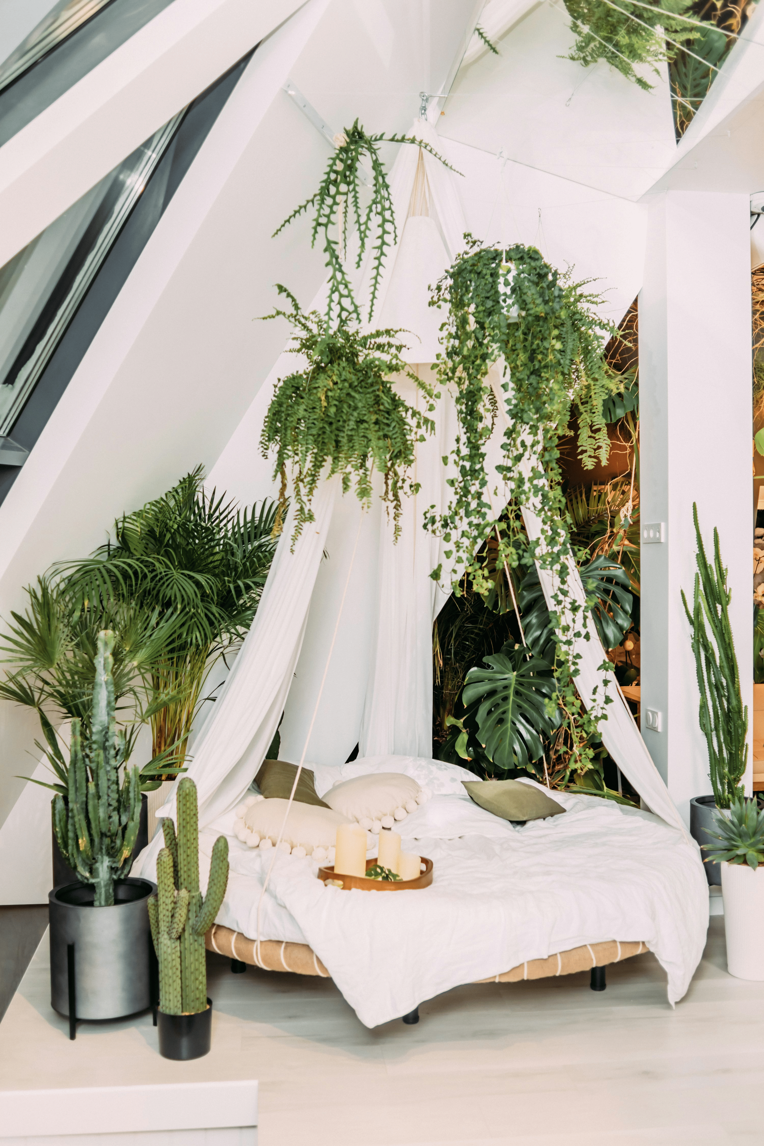 bedroom plant placement